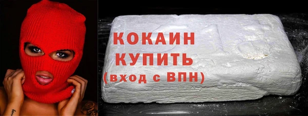 дмт Дмитриев