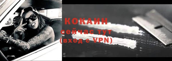 бошки Дмитров