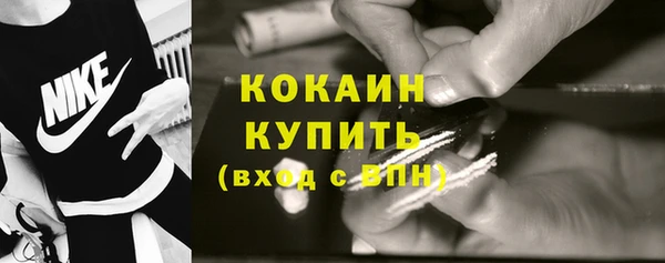 дмт Дмитриев