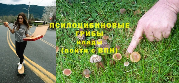 бошки Дмитров