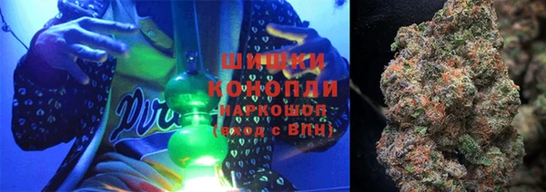 дмт Дмитриев