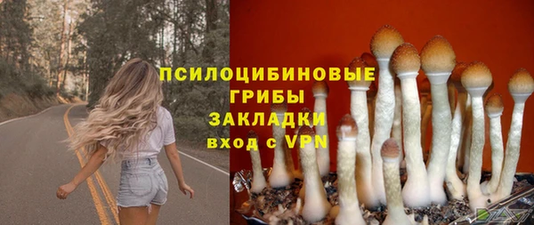 бошки Дмитров