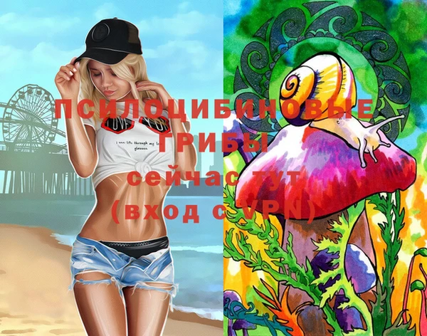 бошки Дмитров
