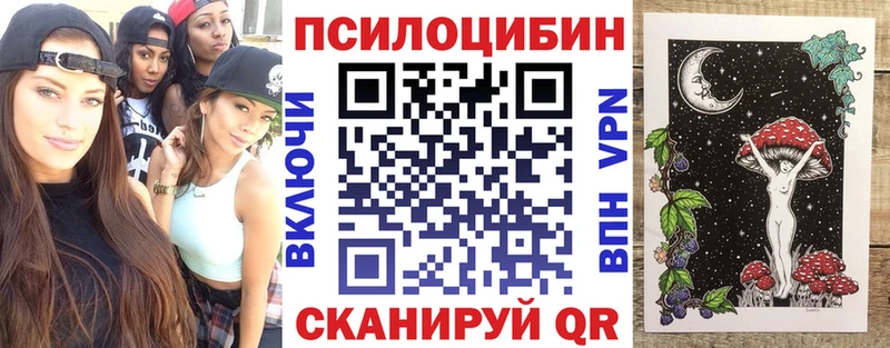 Галлюциногенные грибы Psilocybine cubensis Питкяранта