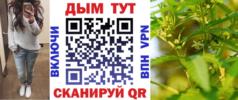 Купить закладки  Питкяранта  Каннабис Ganja 